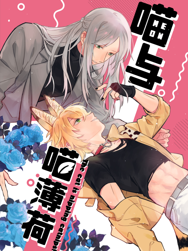 喵与喵薄荷漫画