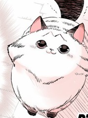 转生猫猫漫画