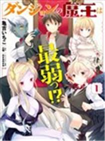 迷宫的魔王最弱小海报