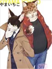 猫猫刑警漫画